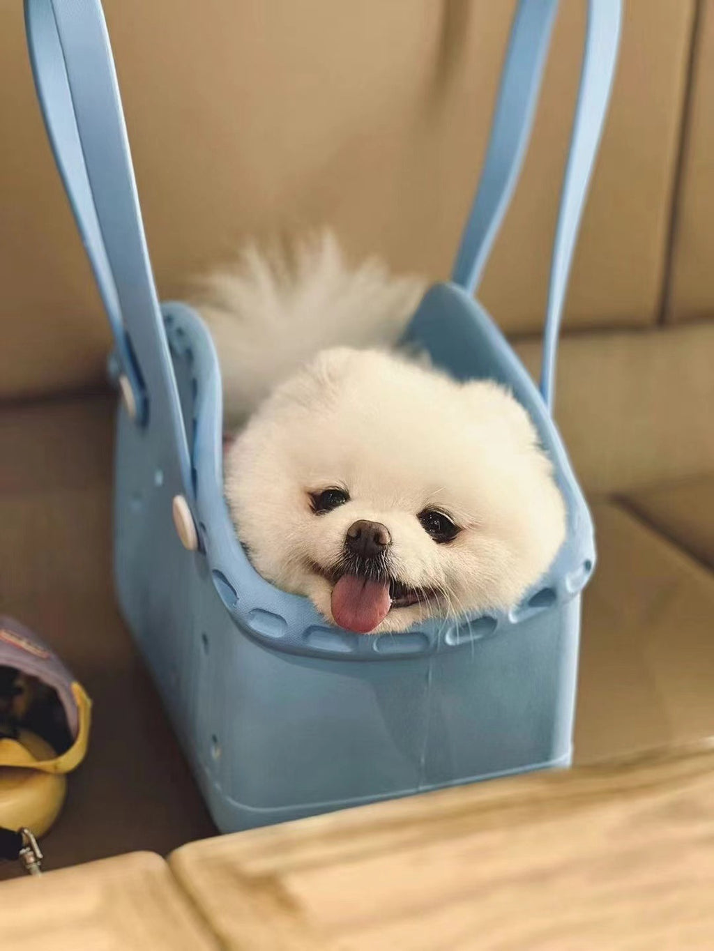 Khaki Portable EVA Pet Handbag - DIY Custom Decoration Carrier for Small Pets, Beach, and Outdoor Use (Large Capacity)