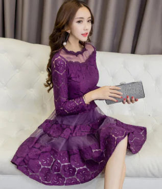 Women's Long Sleeve Tulle Skirt Lace A Line Dress