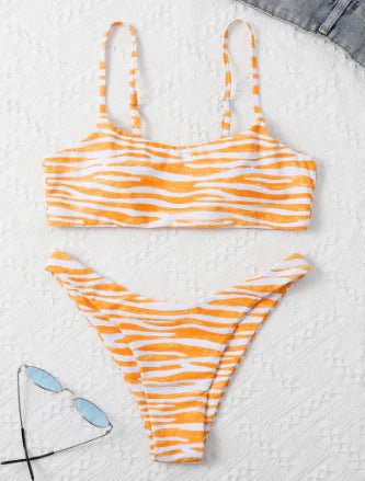 Women's Zebra Stripe Two Piece Bikini Set