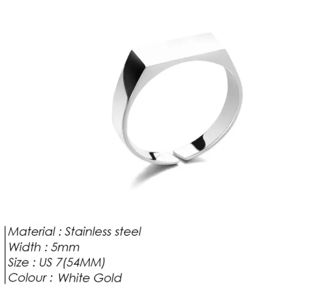 Men's Stainless Steel Ring