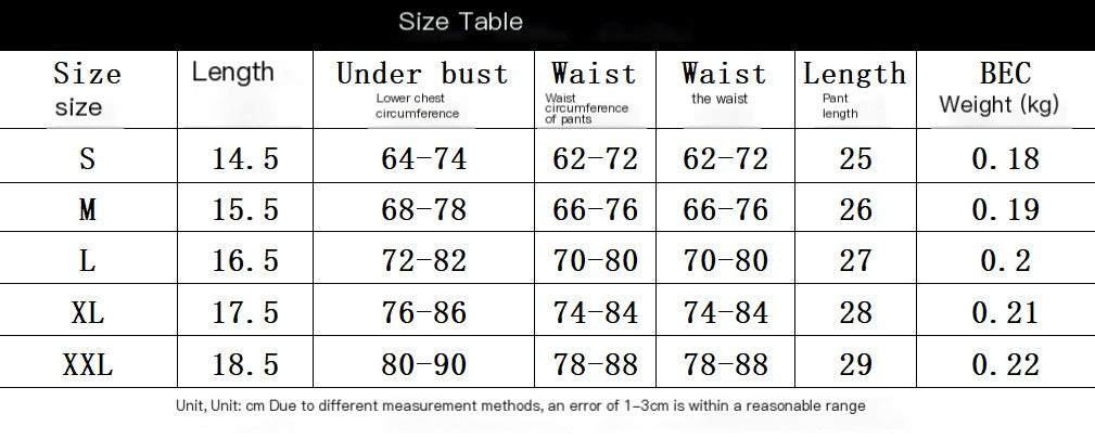 Women's Mesh Lingerie Set (One Set) Women's Lingerie Unbranded