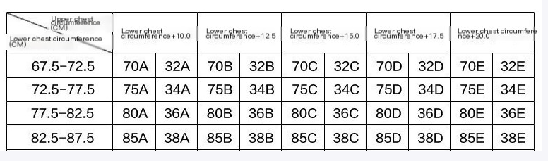 Women's Lace Bra Set Sexy Lingerie Women's Lingerie Unbranded