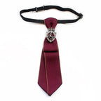 Men's Bow Tie & Fashionable Unisex Tie Accessory 6x21cm