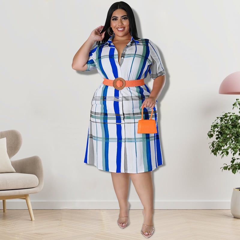 Women's Checkered Short Sleeved Shirt Dress