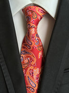 Men's High-Density Paisley Tie