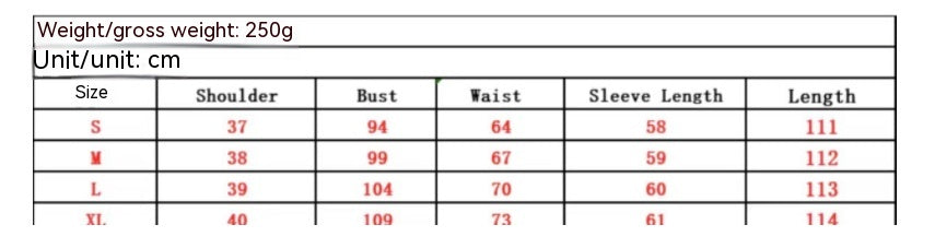 Women's Floral Long Sleeved Casual Shirt Dress Women's Dresses Unbranded