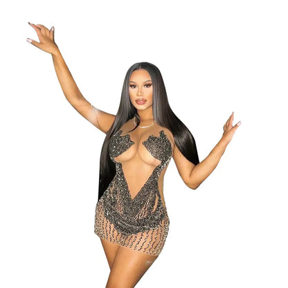 Women's Sheer Mesh Dress