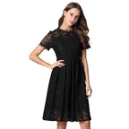 Women's Plus Size Little Black Summer Lace A Line Dress