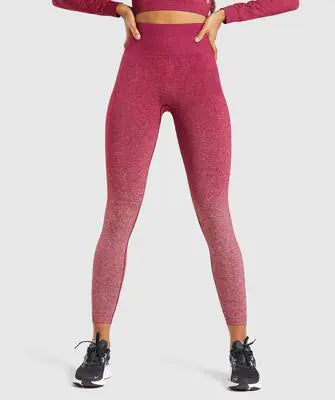 Women's Seamless Yoga Pants For Sports Activewear