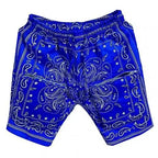 Men's Harajuku Streetwear Shorts