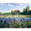 Landscape Field Painting